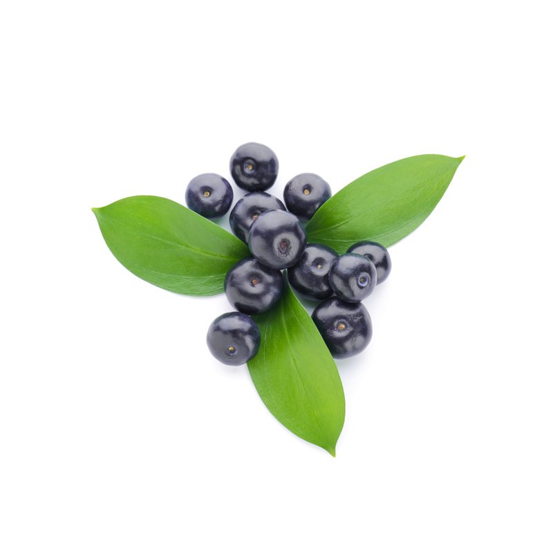 Life Extension, Acai berry nutrient in vine in center of image with a white background